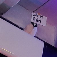 fakk.sol (@fakksolana) 's Twitter Profile Photo fakk.sol (@fakksolana) 's Twitter Profile Photo