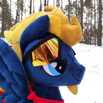 fireskypony's profile picture. Small ponies are my life. I am an amateur photographer I love to take pictures of small plush ponies at conventions, in nature in general at any opportunity