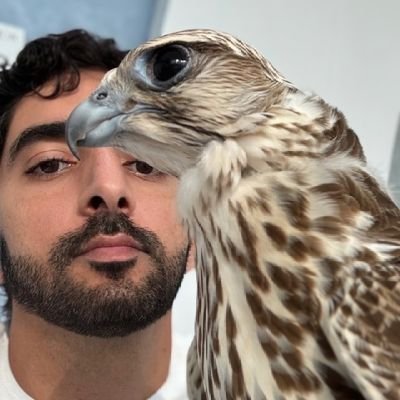 sheikh_ham53825's profile picture. Fazza