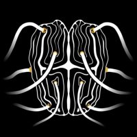 HvT HYVE 🧠 (@officialhyve) 's Twitter Profile Photo HvT HYVE 🧠 (@officialhyve) 's Twitter Profile Photo