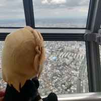 えりー🔰X初心者 (@elly_keioshi) 's Twitter Profile Photo