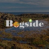 Bogside Chats (@bogsidechats) Twitter profile photo