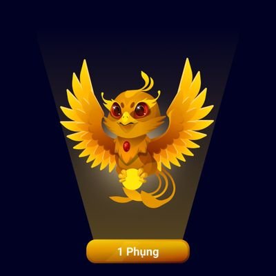 tu_doduy's profile picture. BDFWNYRV