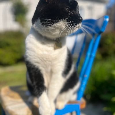 pamelamackitty Profile Picture