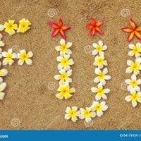 fiji_insights (@fijianindex) 's Twitter Profile Photo fiji_insights (@fijianindex) 's Twitter Profile Photo