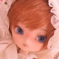 HICO🐻低浮上(@DollHico) 's Twitter Profile Photo