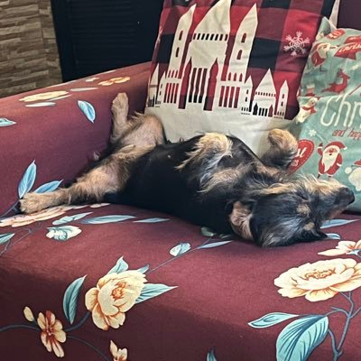 FnGrMnKyy's profile picture. 