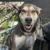keller (@kellertrig) 's Twitter Profile