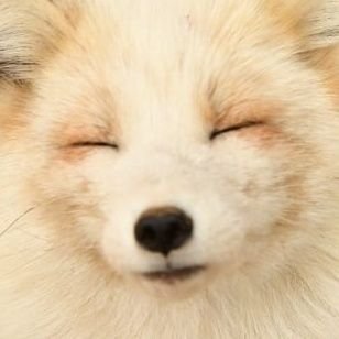 ねぇさんのプロフィール画像