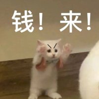 CJ (@danqing_cj) Twitter profile photo