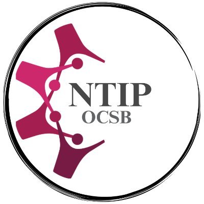Supporting NTIP teachers at the OCSB 🏳️🌈🏳️⚧️👊🏿 Respectfully on unceded Anishinaabeg Algonquin territory 🧡