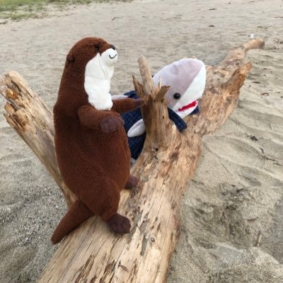 yDpR5z4YcZlD3Mj's profile picture. 「おかえりモネ」に取り憑かれて、時間を見つけては何度も見返しています。同じ病の人いらっしゃったらよろしくお願いします。(無言フォロー失礼致します。) 坂口健太郎さんを緩めに推し(まだ沼ではない)  鎌倉殿の13人を地味におさらい中。他の推しカミングアウトしたので追記：久保田利伸(最長) 上川隆也 藤井風(今ここ)