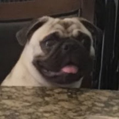 chillyicecube1's profile picture. 