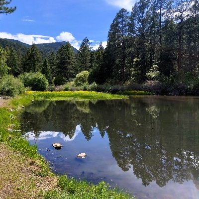 @slate_cactus alt for my thoughts on climate change, the environment, and what we can do to help 🌳💚