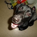 Wanda Thorne - @wanderfulwandie - Twitter