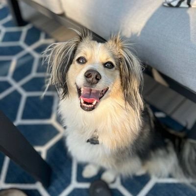 sedrahan7's profile picture. 