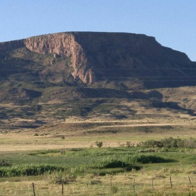 historianofhope's profile picture. College History Instructor