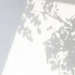 •▪︎•さんのプロフィール画像