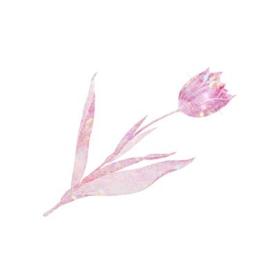La__Tulipe__'s profile picture. 🦊🍅  🐢👽  🤍🌼 🌪  🐻   망태기 매우 큽니다.   (๑❛ڡ❛๑)☆           ⋆ ᴅᴏ ɴᴏᴛ ᴄʀᴏᴘ ᴛʜᴇ ʟᴏɢᴏ. 로고 크롭 금지 🚫🚫 ⋆                       
⋆ 2차 가공 금지🚫🚫 ⋆
한국팬미팅은 거의 다 갑니다.