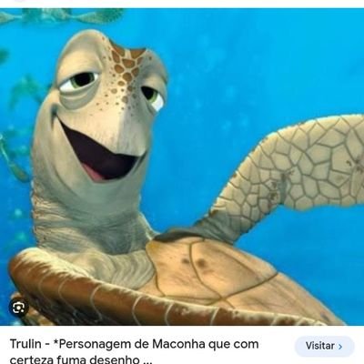 TartarugaLuiza's profile picture. 