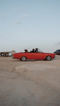 Hyun1168394's profile picture. 