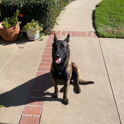 Danyeee's profile picture. 