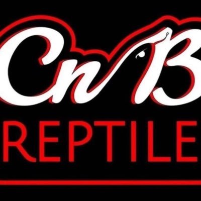 CAPTIVE BRED ONLY Reptile Shop located in Phoenix, AZ