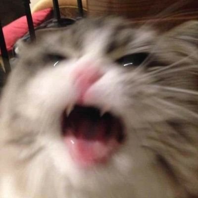 jymonroe_'s profile picture. akun backup au
semua au dibuat sama persis seperti au aslinya!!