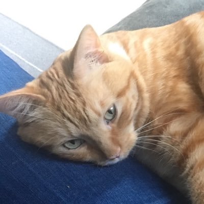 jpcafoodie24's profile picture. 🇯🇵と🇨🇦で食べたもの。これから食べたいもの。