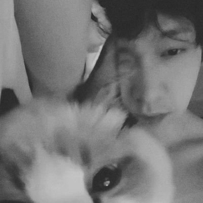 archivesloey's profile picture. 𝐋-𝟏𝟒𝟖𝟓