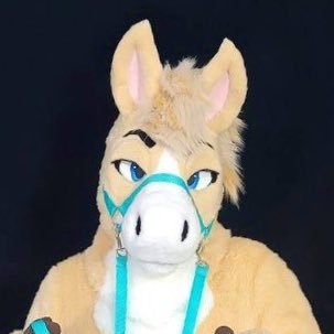 Internet horse 🐴 / @FFAFursuits Fursuiter 🤩 / Hero 🚑🩸🩺 / Gay Death: 10+ Years ago 🏳️‍🌈☠️ / Food tweets 🧄🍔 / Pawbs 🐾 / Single 💅🏻