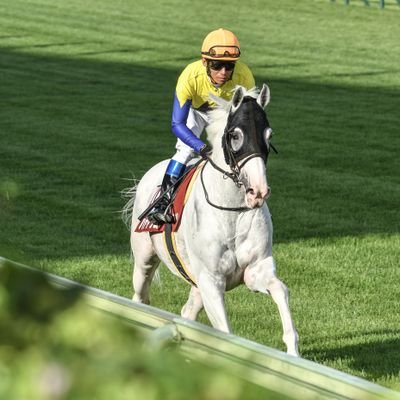 競馬撮影してる高校生/今年から受験しんどい/CANON R7
タイトルホルダー大好き♥