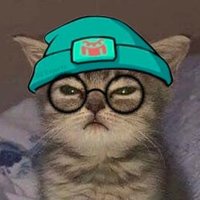 Assu (@assu_val) 's Twitter Profile