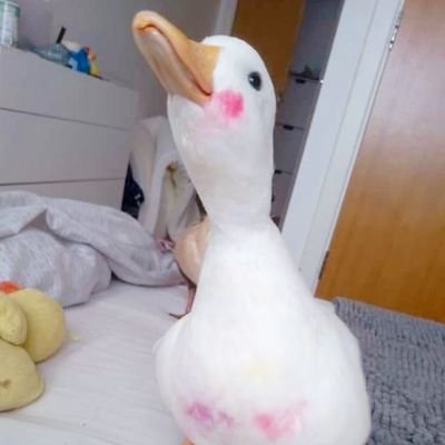 ฟอร์จูน/Fortune | 🦆🎀 | เค้าคือเป็ดพูดได้ | แอคเล่นพี่บอท🍰