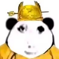 esgliyu123's profile picture. 纯变态 ，上X纯为看涩