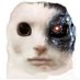 Norber (@norbert23899799) Twitter profile photo Norber (@norbert23899799) Twitter profile photo