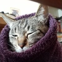 いつき (@ituki_cr1212) 's Twitter Profile