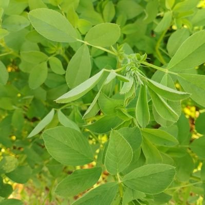 Dhanraj29919792's profile picture. Making the impossible possible