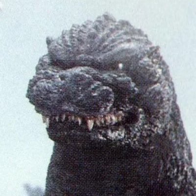 NYC SHD Agent ⭕️ | Godzilla enthusiast🩷🦖