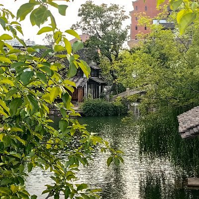 hchnhu1's profile picture. 