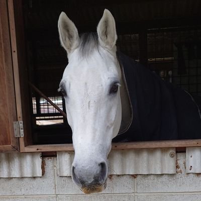 whrEZcPHth5n3ro's profile picture. 