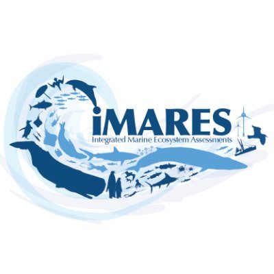 The iMARES (Integrated Marine Ecosystem Assessments) is a marine research group from the @ICMCSIC founded in 2022.