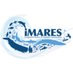 iMARES (@iMARES_group) Twitter profile photo