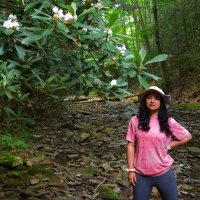 Shweta Basnett (@shwetabasnett) 's Twitter Profile