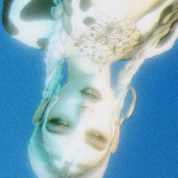 hannah ๐ต๐ธ (@myfishdiedman) 's Twitter Profile Photo hannah ๐ต๐ธ (@myfishdiedman) 's Twitter Profile Photo