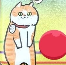 安芸乃 薫さんのプロフィール画像