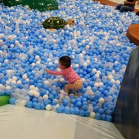 かのうさん@もう1つの小６の時のあだ名 (@ykano11111) 's Twitter Profile Photo