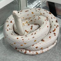 ごましおにんじん🐍 (@gomasioninjin) 's Twitter Profile Photo ごましおにんじん🐍 (@gomasioninjin) 's Twitter Profile Photo