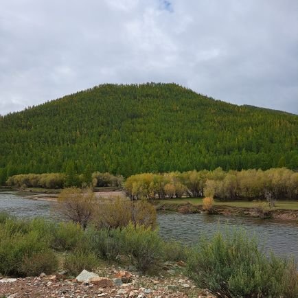 0810Attorney's profile picture. 