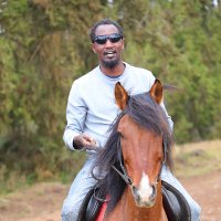 Bernard Gitau (@benagitau) 's Twitter Profile